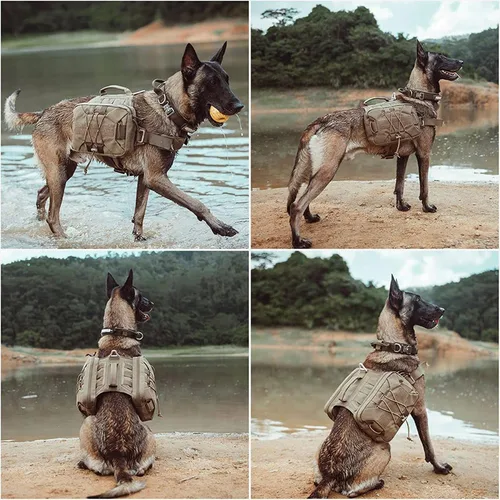 Miniatura 7 de EXCELLENT ELITE SPANKER Paquete de mochila para perros, mochila para camping, senderismo, perro mediano y grande con 2 bolsillos laterales Negro