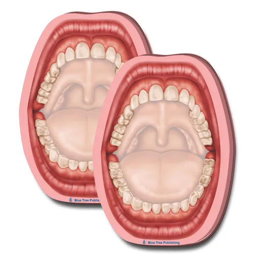 Miniatura 14 de Notas Adhesivas de Anatomía