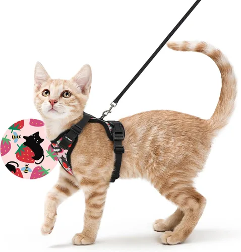 Miniatura 33 de rabbitgoo Cat Harness and Leash Set, Escape Proof Vest, XXS, Berry Pounce Soft Breathable Mesh, No-choke Adjustable Fit, Snap Buckles, Sturdy