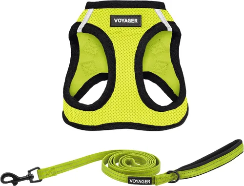 Best Pet Supplies - Arnés de malla apto para todo tipo de clima y correa reflectante de 5 pies para perros, combinada con mango de neopreno para