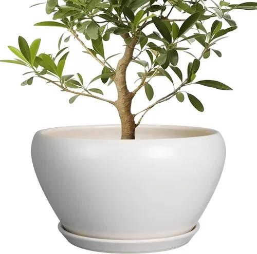 Miniatura 43 de Maceta de Cerámica Moderna con Esmalte para Suculentas con Agujero de Drenaje y Platillo, Maceta Redonda de 6 Pulgadas para Plantas de Flores
