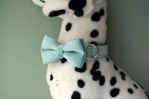 Miniatura 5 de Collar para perro personalizado con hebilla metálica - Collares para mascotas personalizados con nombre y número de teléfono (Estilo Terciopelo1)