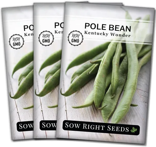 Sow Right Seeds - Semillas de frijol Wonder Pole de Kentucky para plantar - Paquete de reliquia sin OMG con instrucciones para plantar un huerto en