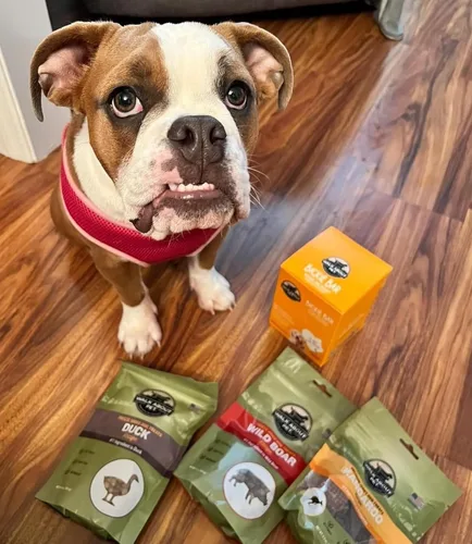 Miniatura 6 de Walk About Pet, WA10016, golosinas de carne seca para perros, sin granos, sin gluten, proteína de fuente única, receta de cocodrilo, bolsa