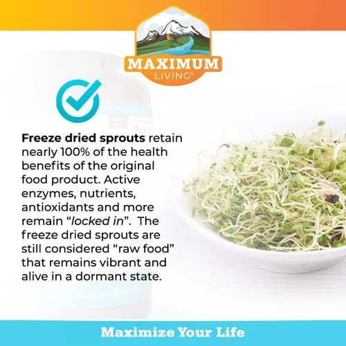 Miniatura 5 de Vita-Sprout - Mezcla de multivitamínicos y fitonutrientes integrales, 120 cápsulas