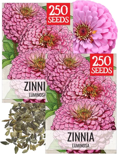 Miniatura 32 de Seed Needs California Giants - Semillas de zinnia – 250 semillas tradicionales para plantar Zinnia elegans – Cultiva flores anuales polinizadas