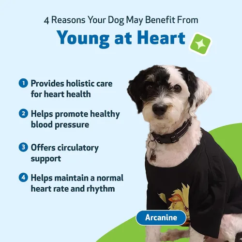 Miniatura 9 de Pet Wellbeing Young at Heart para perros - Apoyo a la salud cardíaca para personas mayores, bienestar cardiovascular con espino y agripalma