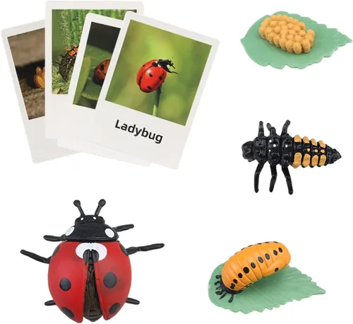 Miniatura 10 de Figuras del Ciclo de Vida de Animales Montessori con Tarjetas Flash, Juguetes de Figuritas de Animales Realistas, Juego Educativo de Emparejamiento