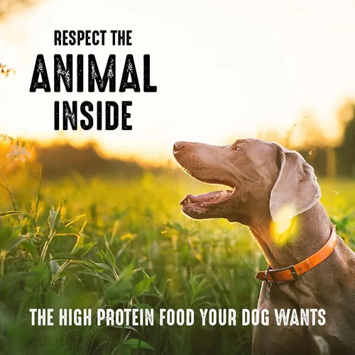 Miniatura 7 de Crave Comida con proteína para perros, libre de granos, adulto