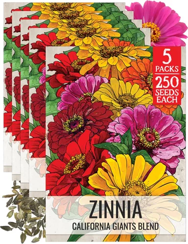 Miniatura 53 de Seed Needs California Giants - Semillas de zinnia – 250 semillas tradicionales para plantar Zinnia elegans – Cultiva flores anuales polinizadas