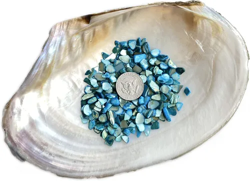 Miniatura 3 de Yew & Tulip Chips de conchas trituradas naturales irregulares, 32 oz (2 lb) fragmentos de mosaico de nácar azul cielo, conchas de nácar