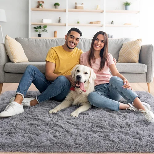 Miniatura 2 de Noahas Alfombras de Área Grandes y Esponjosas de 5x8 pies para Sala de Estar y Dormitorio, Alfombra Gruesa de Pelo Largo Beige y Blanca, Alfombra