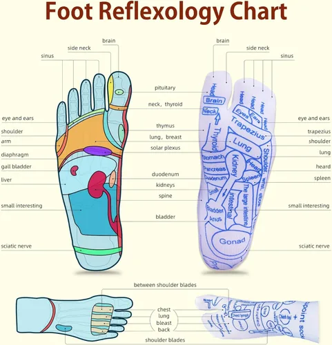 Miniatura 5 de Juego de calcetines de reflexología con herramienta de masaje de acupresión triangular, alivio de fascitis plantar para dolor de talón, tensión