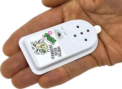 Miniatura 2 de FUN delivery Annoise Broma de broma de sonido molesto grabable oculto broma broma