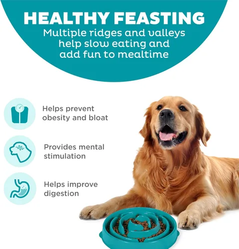 Miniatura 2 de Outward Hound Cuenco grande de alimentación lenta, laberinto de rompecabezas para comedores rápidos, perros medianos a grandes, ayuda a prevenir