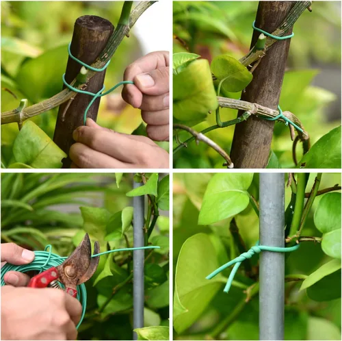 Miniatura 4 de YDSL Alambre Suave para Plantas de 66 Pies, Ataduras de Jardín Verdes con Giro para Plantas, Organización de Oficina y Hogar (Diámetro - 2.5MM)