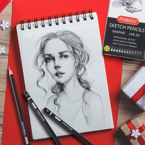 Miniatura 6 de PANDAFLY Juego de lápices de dibujo profesional, 12 lápices de grafito (14B a 2H), ideal para dibujar arte, bocetos, sombreado, lápices de artista