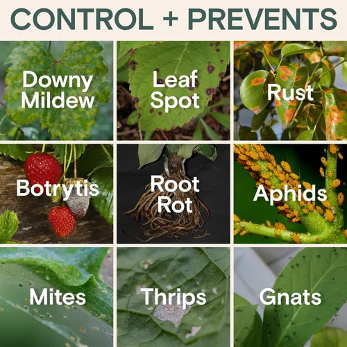Miniatura 3 de Insecticida y fungicida orgánico para plantas, protección interior/exterior para controlar el mildiú polvoriento, ácaros, pulgones, moscas blancas