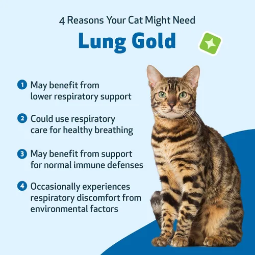 Miniatura 9 de Pet Wellbeing Oro pulmonar para gatos – Apoyo inmunológico pulmonar, salud respiratoria inferior, vías respiratorias abiertas, respiración normal