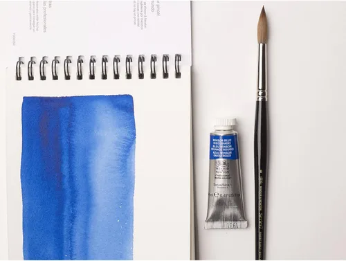 Miniatura 426 de Winsor & Newton - Pintura para acuarela profesional Tinte neutro