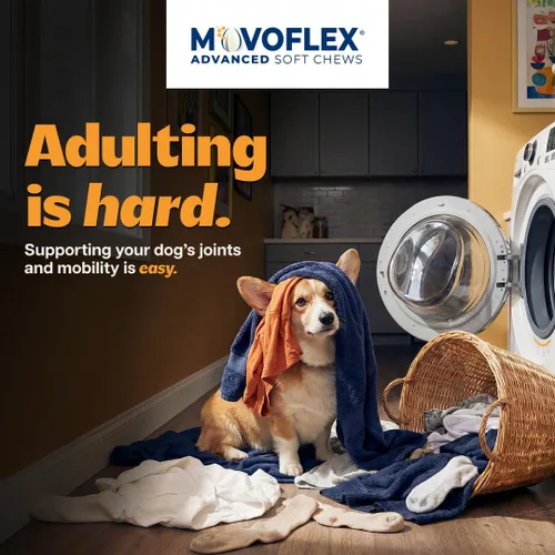 Miniatura 2 de MOVOFLEX Virbac - Suplemento de apoyo avanzado para la cadera y las articulaciones para perros pequeños, 60