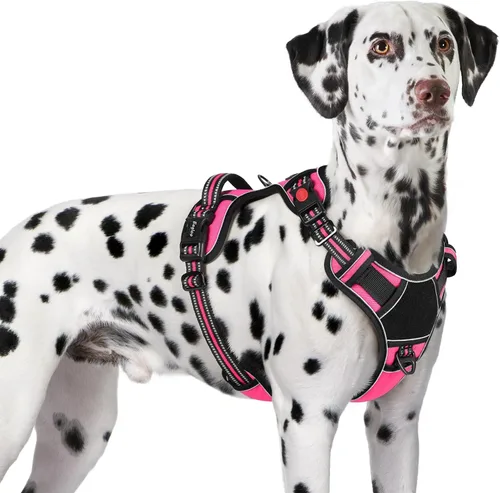 Miniatura 16 de Eagloo Arnés para perro de tamaño pequeño, fácil de llevar con 3 hebillas, arnés ajustable sin tirones para mascotas con sistema MOLLE, chaleco