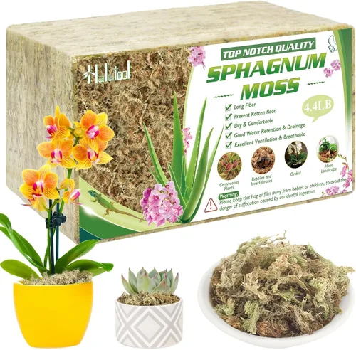 Miniatura 9 de Halatool Musgo esfagnum prémium de 3.6 onzas para plantas de interior, mezcla para macetas de musgo de orquídea de 4 cuartos de galón, musgo