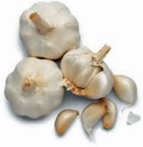 Miniatura 2 de Bombilla de ajo (1 libra), bombilla de ajo de cuello suave de California fresca para plantar, comer y cultivar tu propio ajo, marca Country Creek