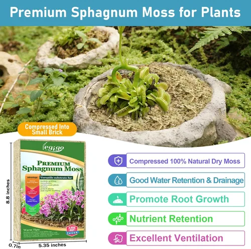 Miniatura 2 de Legigo 100 g de musgo natural esfagno para plantas, mezcla para macetas de orquídea de fibra larga 4QT, musgo esfagno seco para plantas