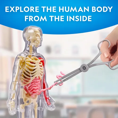 Miniatura 2 de Modelo del Cuerpo Humano de National Geographic para Niños que Brilla en la Oscuridad - Modelo de Anatomía Interactivo de 32 Piezas con Huesos
