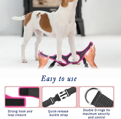 Miniatura 5 de Arnés Cómodo Step-in para Perros y Cachorros - Arnés de Chaleco Cómodo para Perros para Todo Clima: Ajustable, Suavemente Acolchado, Fácil de Poner