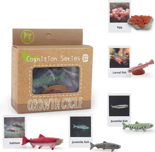 Miniatura 7 de Montessori Life Cycle Animal Insect Figurines Juguetes de aprendizaje y educación, juguetes de insectos de plástico para niños, actividades