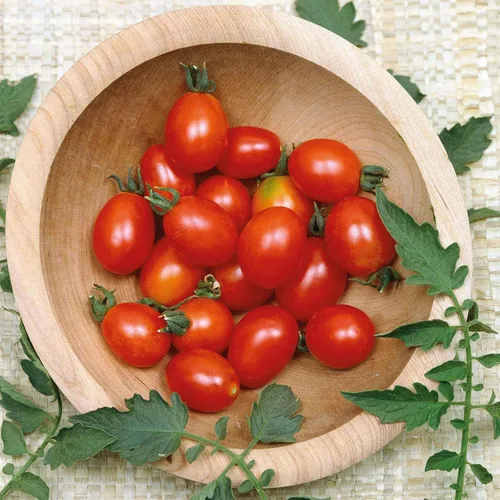 Miniatura 23 de Eden Brothers Semillas de tomate – Semillas de caqui sin OMG para plantar, paquete Semillas de vegetales de bajo mantenimiento, plantas durante