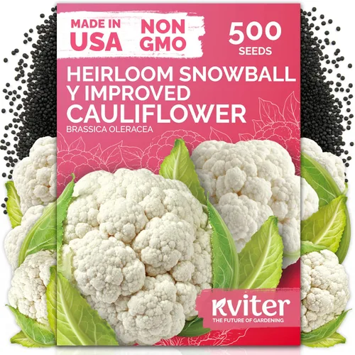 Miniatura 17 de KVITER 325 semillas de tomates gigantes (Solanum lycopersicum) – Filete de ternera paquetes de semillas de tomate – Tomates tradicionales – Semillas