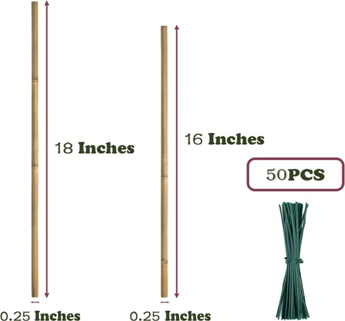 Miniatura 2 de 50 unidades de estacas para plantas, estacas naturales de bambú de 16 pulgadas, estacas de jardín para plantas de interior y exterior, postes
