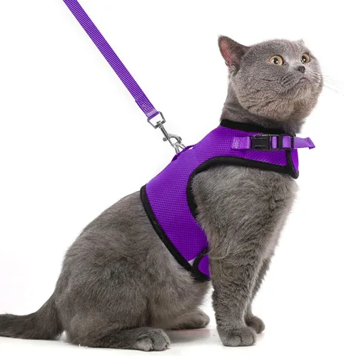 Miniatura 36 de PUPTECK Juego de arnés y correa de malla suave para gatos, arnés acolchado para mascotas, a prueba de escape, para gatos, perros pequeños, conejos