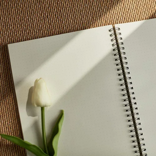 Miniatura 7 de Paquete de 2 diarios de puntos en espiral B5 con papel grueso de 4.23 oz/m², cuaderno espiral de cuadrícula de puntos con tapa dura de plástico