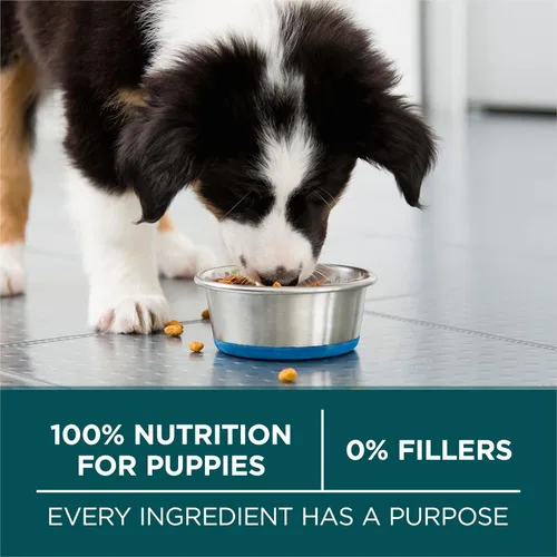 Miniatura 7 de Purina ONE Plus Fórmula Seca para Cachorros de Raza Grande - Bolsa de 40 lb