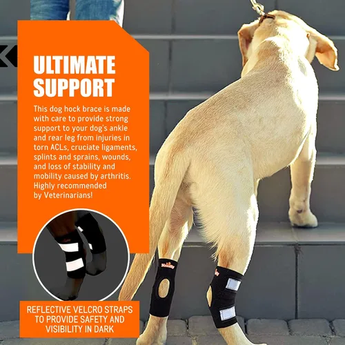 Miniatura 3 de NeoAlly Par de soportes para tobillos de gato y perro, soporte para pata trasera canina con correas reflectantes de seguridad para heridas