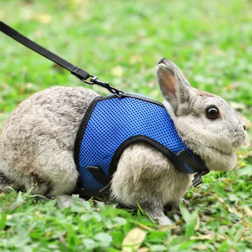 Miniatura 13 de PETTOM Arnés para Conejo Conejillo de Indias con Correa Elástica Extensible, Lindo Arnés de Malla Suave para Mascotas Pequeñas, Sin Tirones, Cómodo