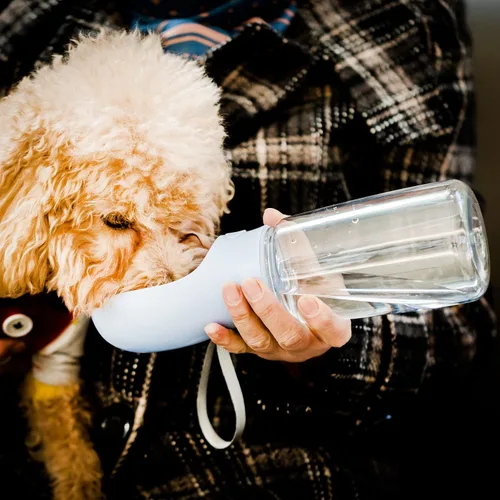 Miniatura 9 de Mr. Pen Botella de agua portátil para perros, 19 onzas, azul, de viaje y dispensador para perros, no apta para lavavajillas
