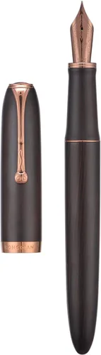 HONG DIAN Pluma estilográfica A10, punta suave extra fina, madera de ébano negro con diseño de tapa magnética y juego de caja de metal