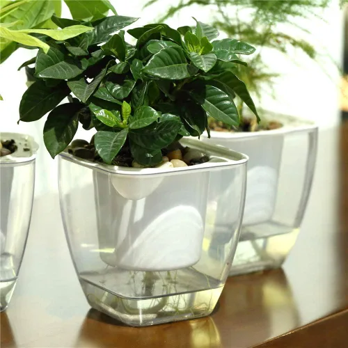 Miniatura 2 de FENGZHITAO - Maceta de riego automático, macetas de plástico transparente con riego automático, maceta cuadrada para todas las plantas de casa