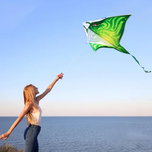 Miniatura 4 de Mint's Colorful Life Cometa de pez diablo para niños y adultos, fácil de volar, cometa Delta de una línea grande, mango de cometa incluido