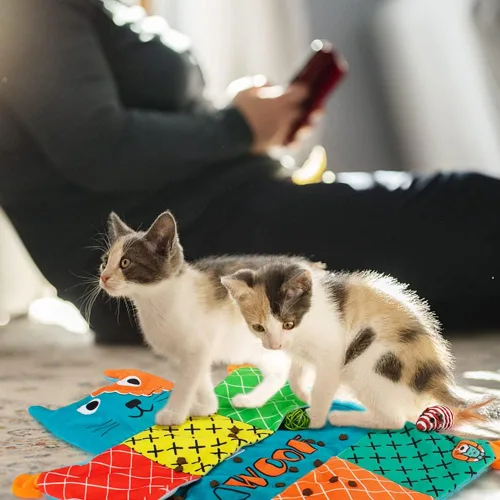 Miniatura 7 de AWOOF Linda alfombra suave de hierba gatera, juguetes interactivos para gatos