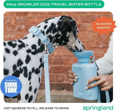 Miniatura 2 de Springer by Springland Botella de agua para perro, dispensador de botellas de agua portátil de viaje para perros, regalo para perros visto