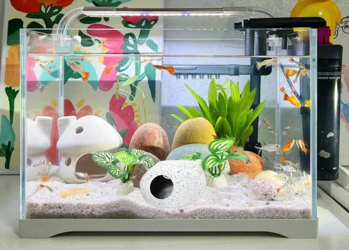 Miniatura 5 de Decoraciones de acuario de peces con ventana de visualización para decoración de peceras Betta Verde 2