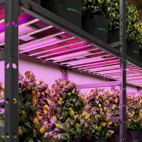 Miniatura 8 de MARS HYDRO ADlite Red30 & Blue30 Luz de Crecimiento LED para Plantas de Interior, Luces de Crecimiento de 30Wx2, Luz Suplementaria de Espectro Rojo