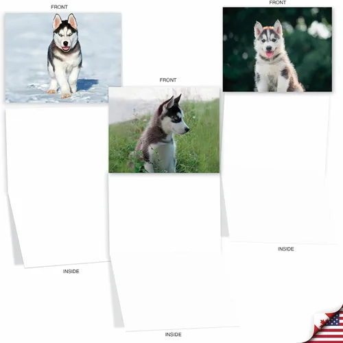 Miniatura 4 de The Best Card Company - 10 adorables tarjetas de perro en blanco (4 x 5.12 pulgadas) - Razas de mascotas surtidas, juego en caja - Adorables perros