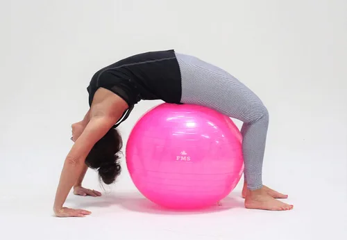 Miniatura 8 de FIM ISU 25.6 in Fitness Stability Ball • Yoga Balance Ball • Ejercicio Entrenamiento Bola INCLUYE Bomba de Pie